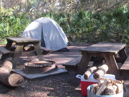 campsite with picnic table, food cage, and fire ring under live oak treesSea Camp site 15