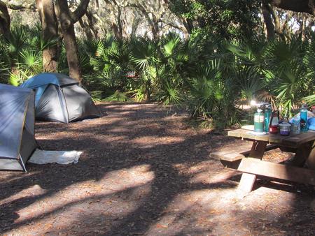 campsite with picnic table, food cage, and fire ring under live oak treesSea Camp site 16