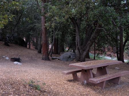 Picnic area with fire pit.