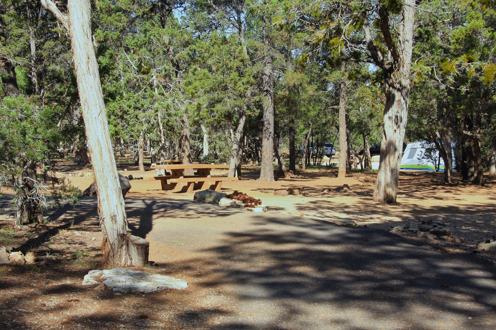 Picnic table, fire pit, and parking spot, Mather CampgroundPicnic table, fire pit, and parking spot for Oak Loop 214, Mather Campground