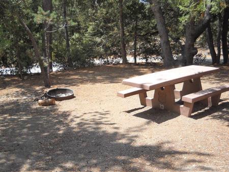 Campground with picnic table and fire pit.
