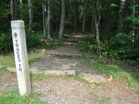 Mathews Arm Campground Traces/Overall Run Trail-head