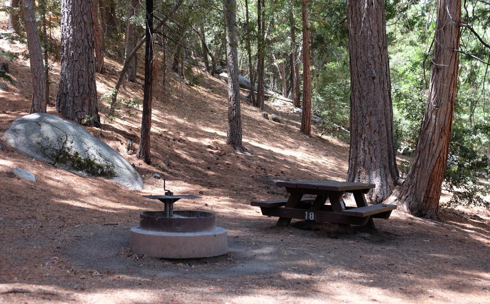 Campground with picnic table and fire pit.