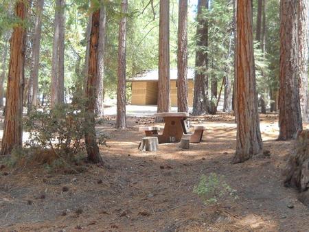 Campground with picnic table.