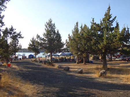 Willow Group Campsite at South Shore Group Campground at Haystack ReservoirWillow Group Campsite is the largest group campsite at South Shore Campground
