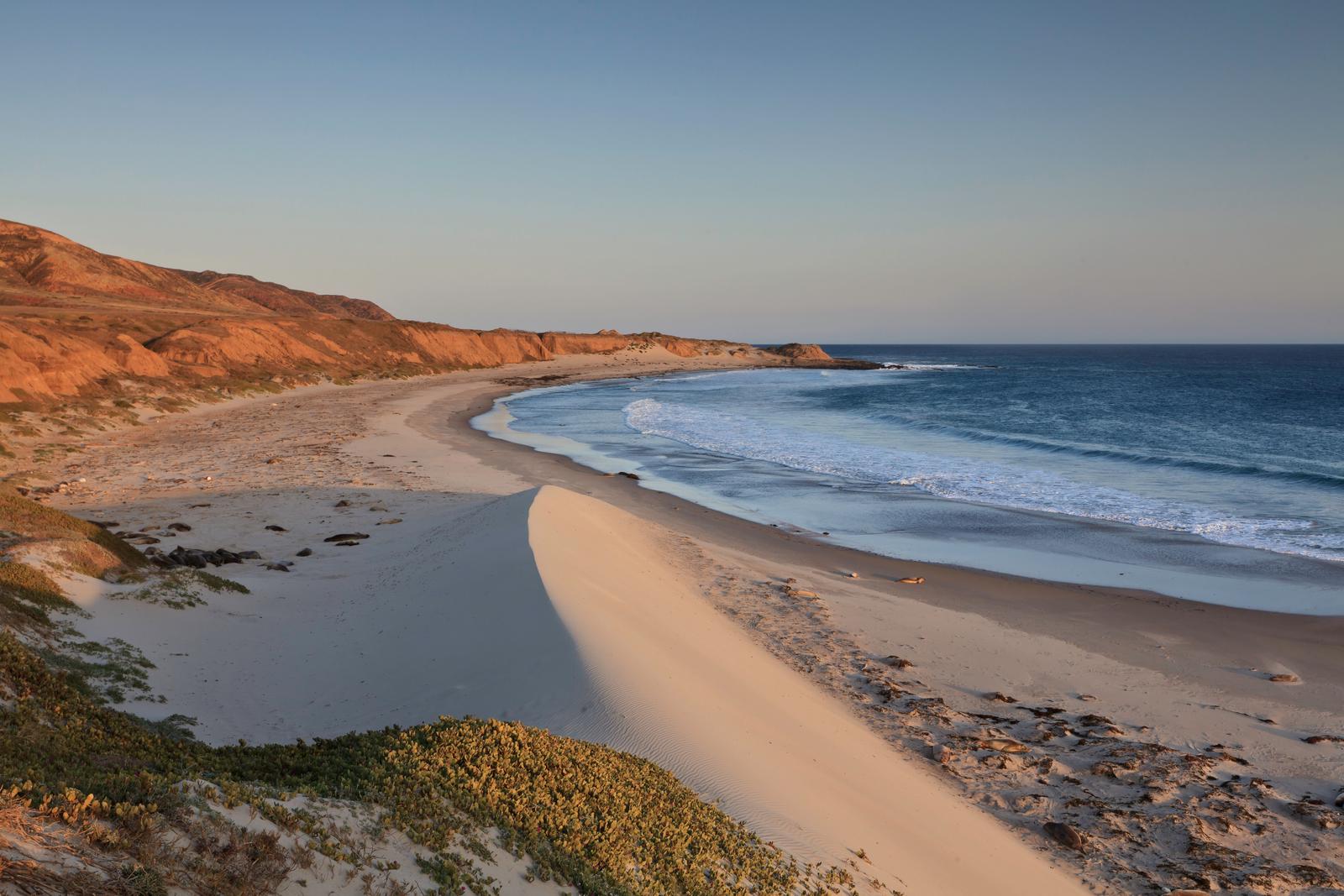 Sandy beach with dunes, ocean and small waves with coastal bluffs covered in grass.  