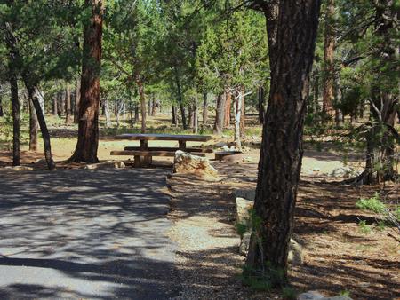 Picnic table, fire pit, and park spot, Mather CampgroundPicnic table, fire pit, and park spot for Oak Loop 226, Mather Campground