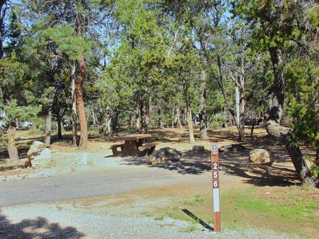 Picnic table, fire pit, and park spot, Mather CampgroundPicnic table, fire pit, and park spot for Oak Loop 256, Mather Campground