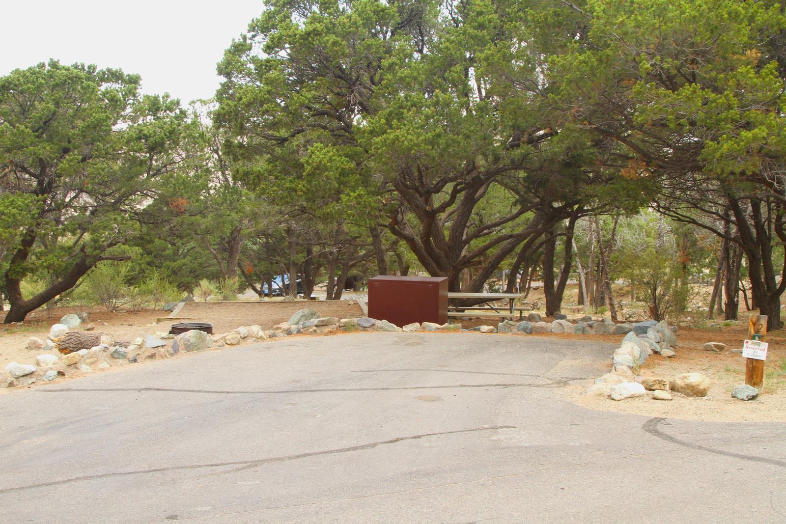 View of Site #12 parking pad, with designated tent pad, bear box, and picnic table in backgroundSite #12, Pinon Flats Campground