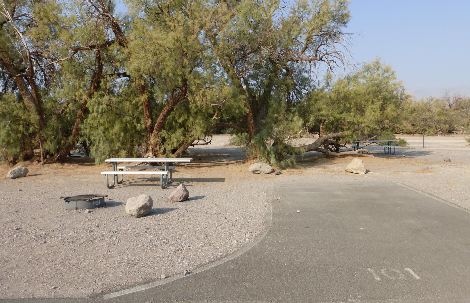 Furnace Creek Campground standard nonelectric tent only drive in site #101 with picnic table and fire ring.