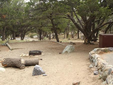 View of Site #12 designated tent pad, fire ring, and bear box.Site #12, Pinon Flats Campground