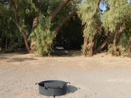 Furnace Creek Campground standard nonelectric tent only drive in site #108 with picnic table and fire ring.