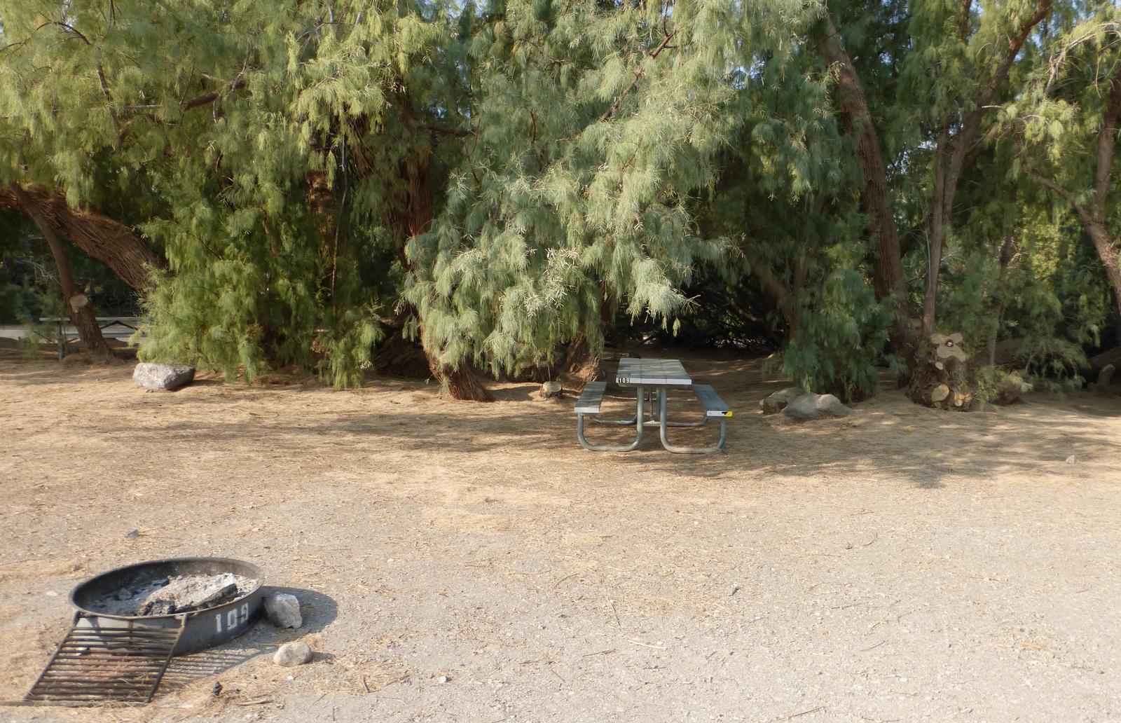 Furnace Creek Campground standard nonelectric tent only drive in site #109 with picnic table and fire ring.