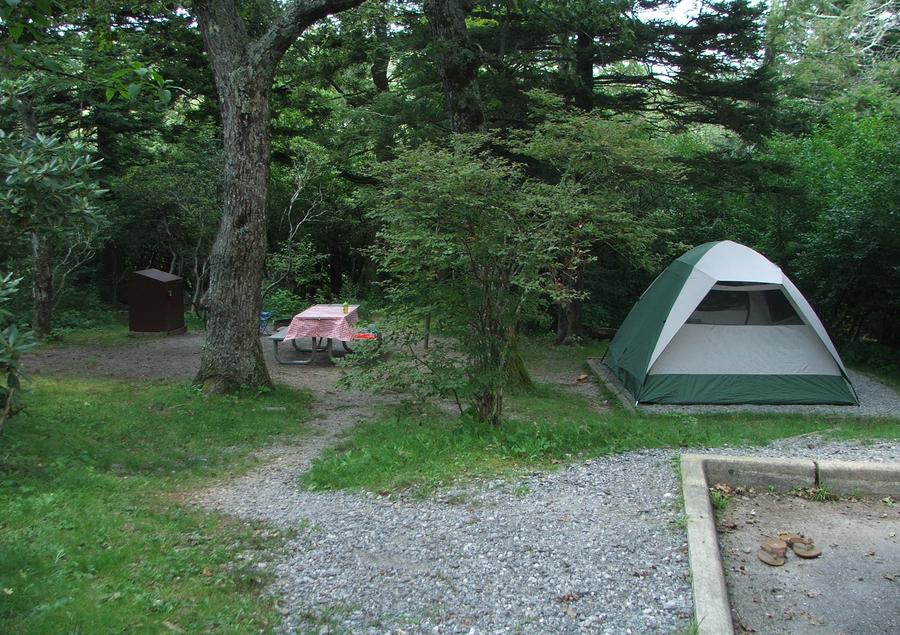 mt pisgah campground best sites