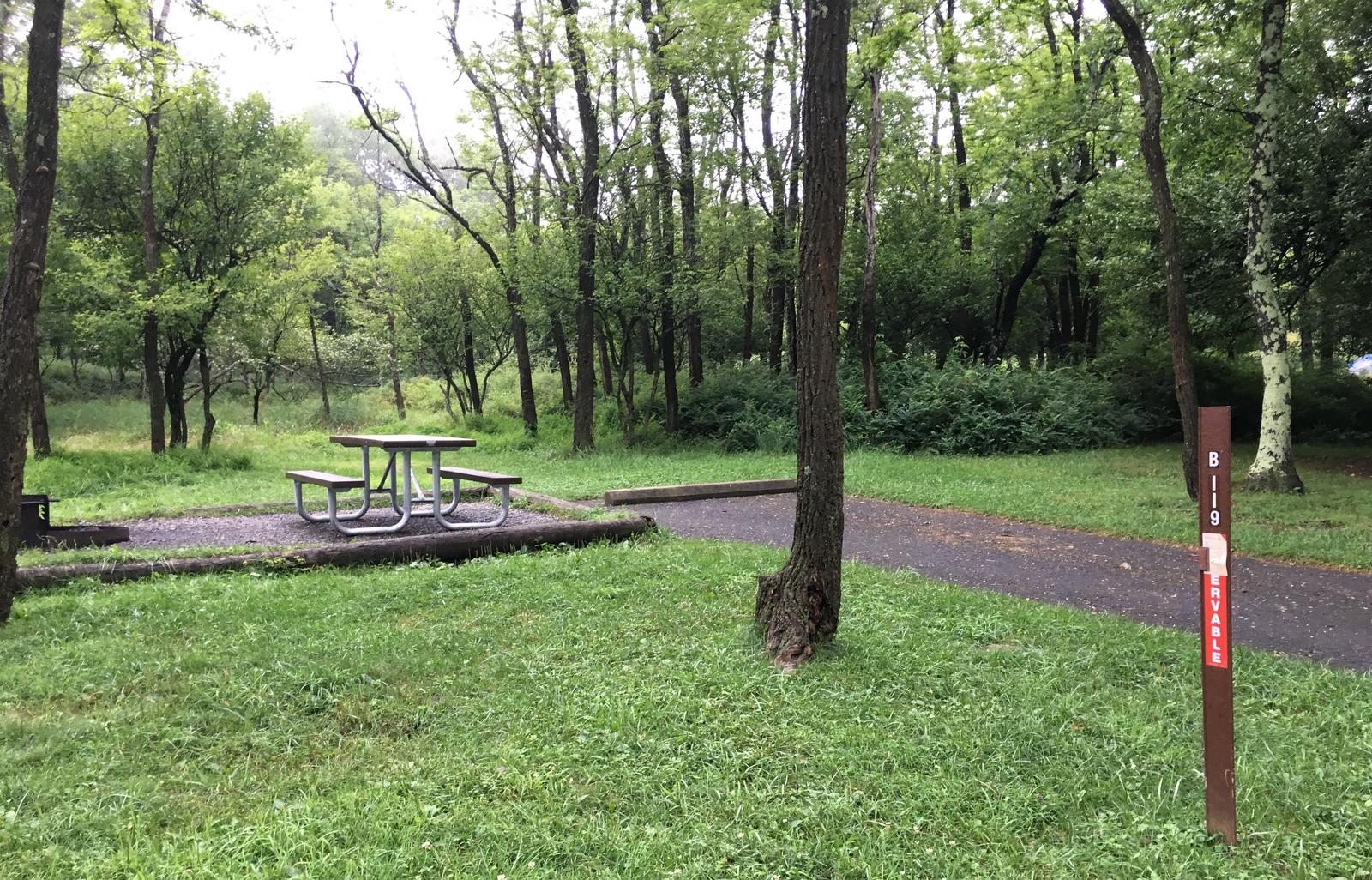 Campsite B119Site has a driveway, tent pad, picnic table, and fire pit. 