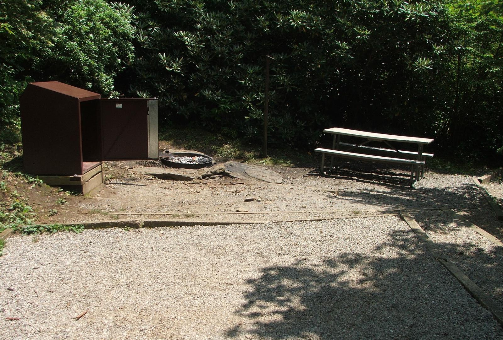 C Loop Site 12 - Tent Nonelectric Picnic Table Area for tent and table.
