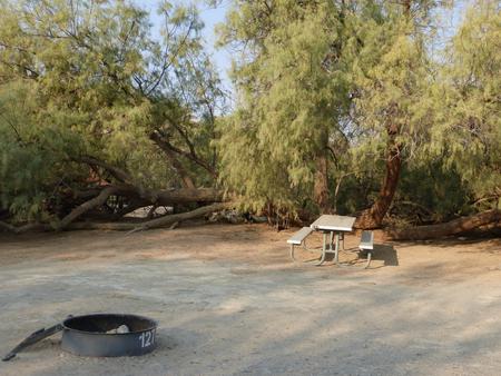 Tent only walk in site #127.  No campervans, RV's, or pop up tents.  One firepit with grate and one picnic table.  No utilities.