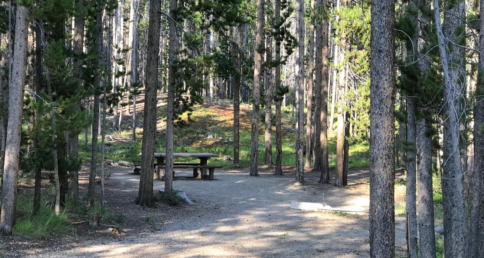 picnic table in campsite in wooded areacampsite in wooded area