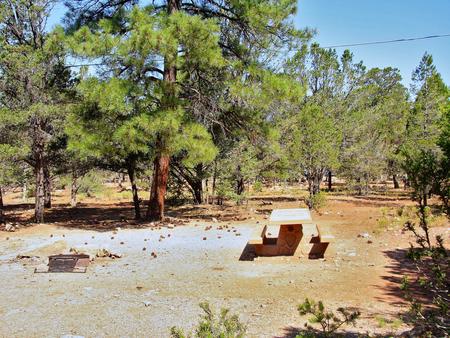 Picnic table, fire pit, and parking spot, Mather CampgroundPicnic table, fire pit, and parking spot for Pine Loop 273, Mather Campground