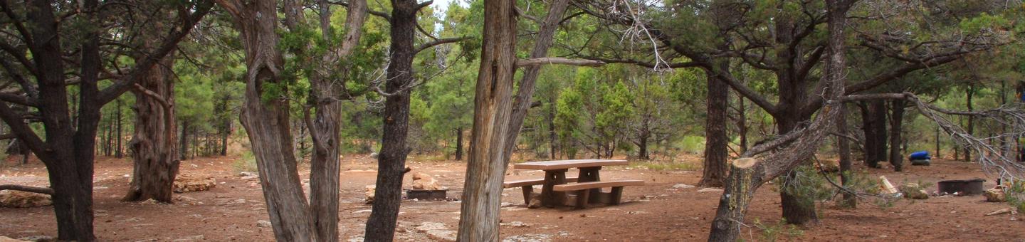 Picnic table, fire pit, and parking spot, Mather CampgroundPicnic table, fire pit, and parking spot for Pine Loop 277, Mather Campground