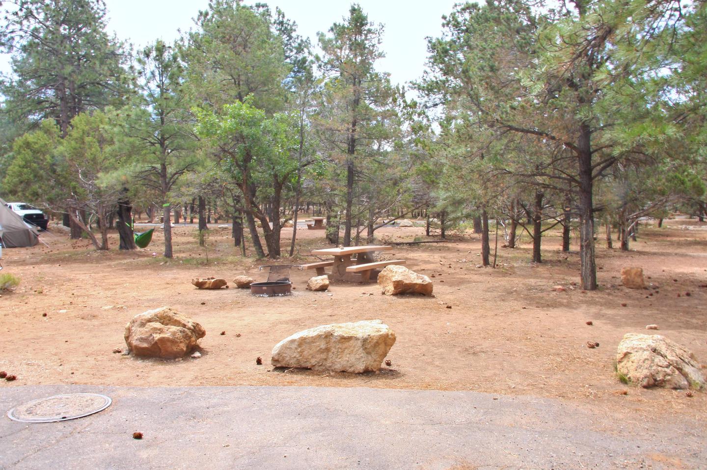 Picnic table, fire pit, and parking spot, Mather CampgroundPicnic table, fire pit, and parking spot for Pine Loop 282, Mather Campground