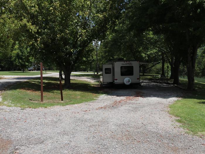 Campsite 82 Defeated Creek Campground