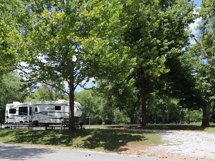 Campsite 83 Defeated Creek Campground