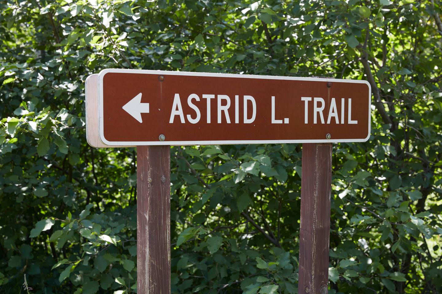 Sign pointing to Astrid Lake TrailheadAstrid Lake Trailhead