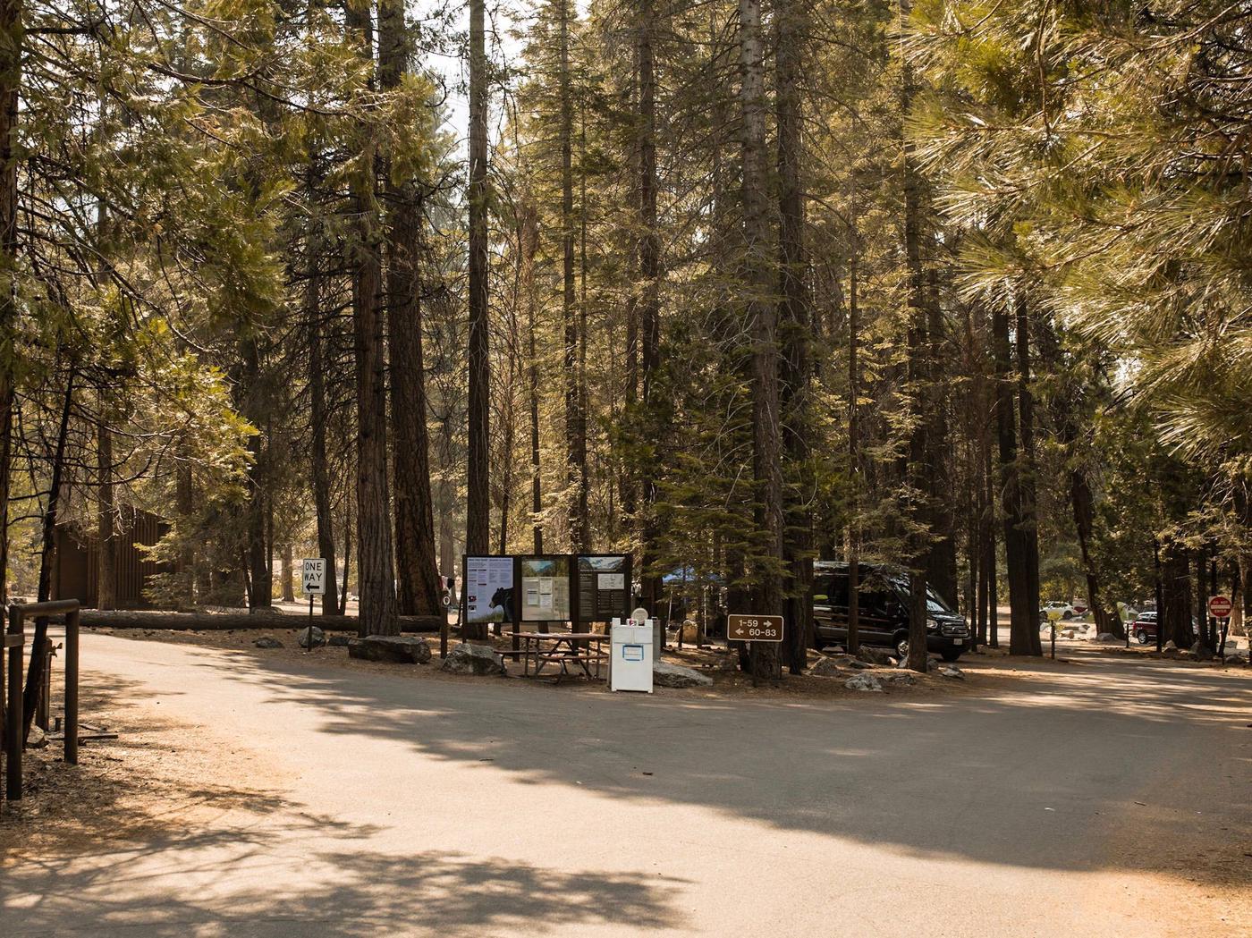 Sentinel Campground, Sequoia & Kings Canyon National Parks - Recreation.gov