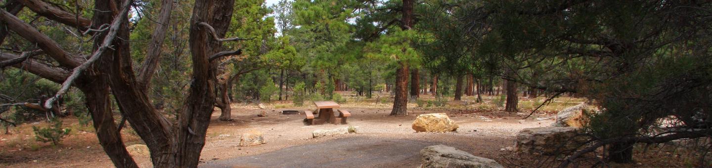 Picnic table, fire pit, and parking spot, Mather Campgound