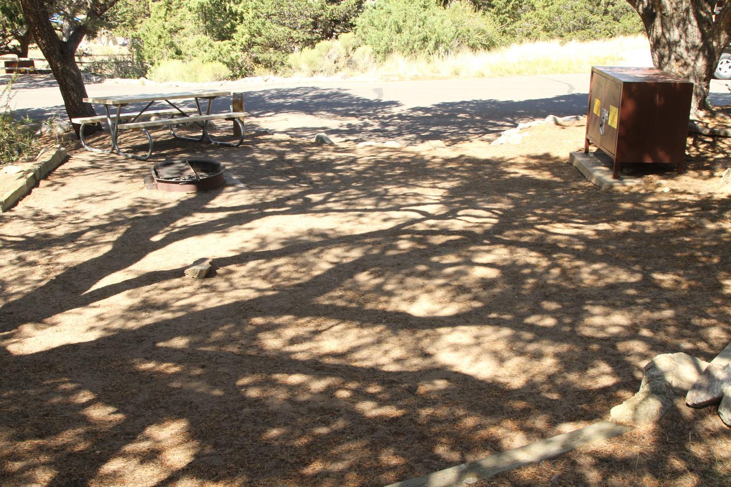 Back view of Site #6 tent pad, fire ring, and bear boxSite 6, Pinon Flats Campground
