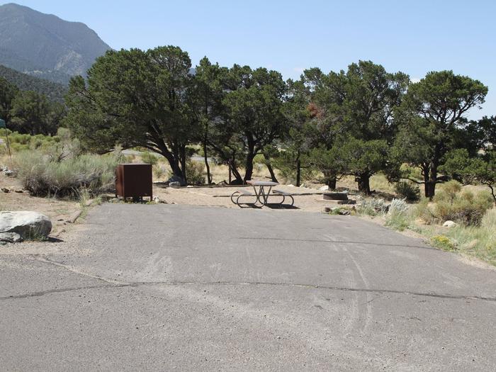 View of Site #39 parking pad, tent site, bear box, fire ring, and picnic table. Pine trees are on the perimeter of this site.Site #39, Pinon Flats Campground