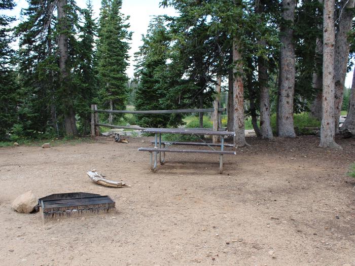 Site 11. Table, fire pit and tent pad. 