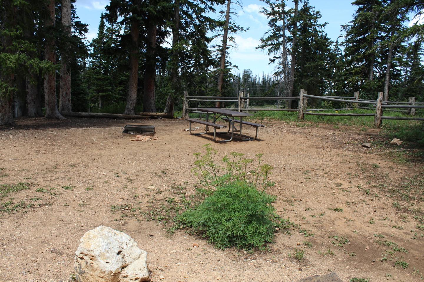 Site 15. Table and fire pit.