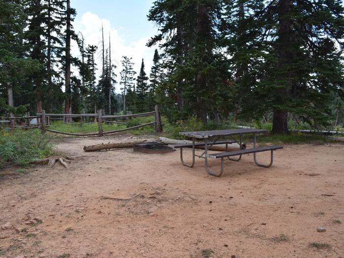 Site 16. Table, fire pit and tent pad. 
