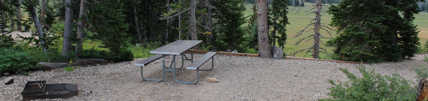 Site 17. Table, fire pit and tent pad. 