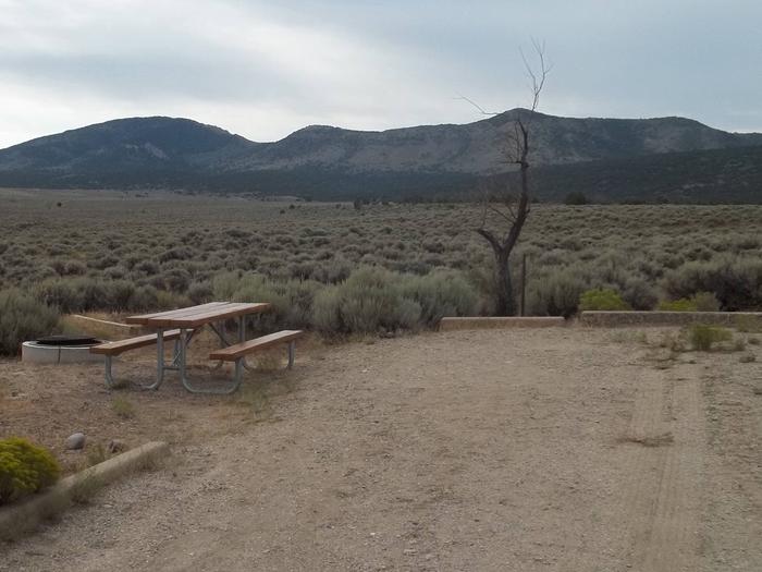 Parking location with a picnic table and a fire pit with a grill grate off to the side.Antelope Flat Campground: Site 17