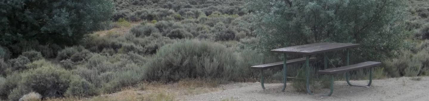 Picnic table in a sandy area with sagebrush and a couple of trees in the background.Antelope Flat Campground: Site 18