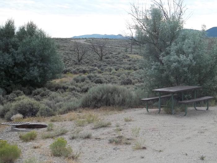 Picnic table in a sandy area with sagebrush and a couple of trees in the background. There is a fire pit with a grill grate off to the side.Antelope Flat Campground: Site 18