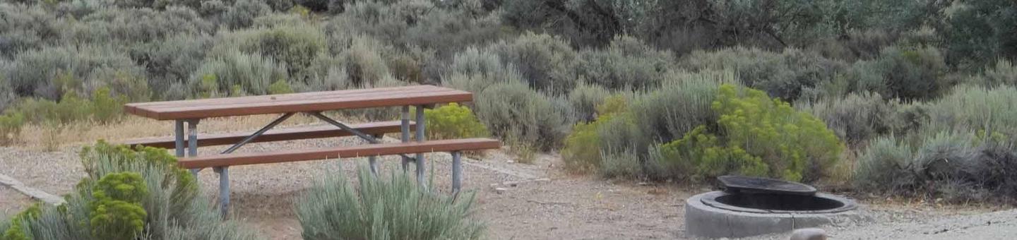 Picnic table in a sandy area with a fire pit near by. Sagebrush surrounds the picnic area.Antelope Flat Campground: Site 22