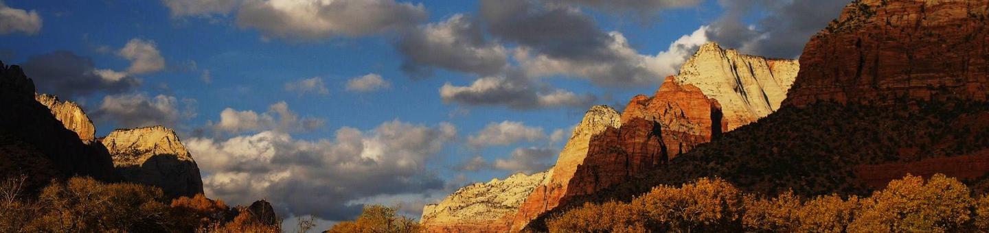 South Campground, Zion National Park