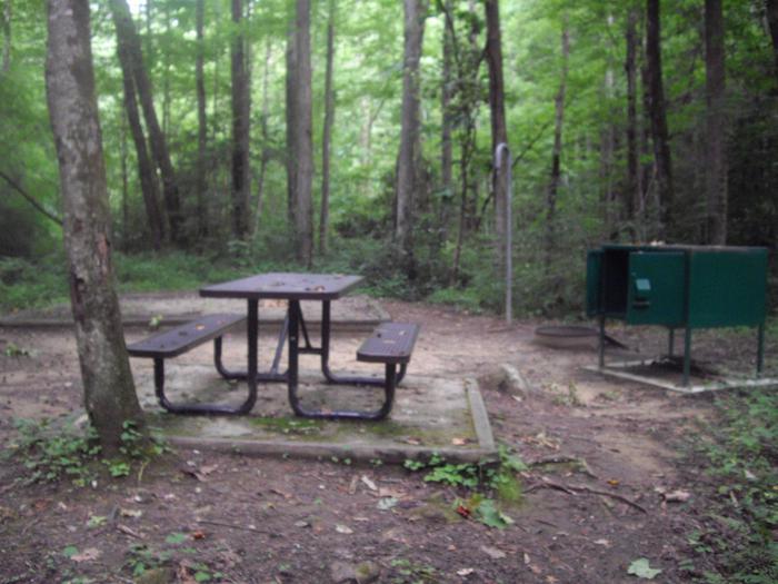 picnic table sits on pad next to green food storage lockerSite 11 Rock Creek Campground