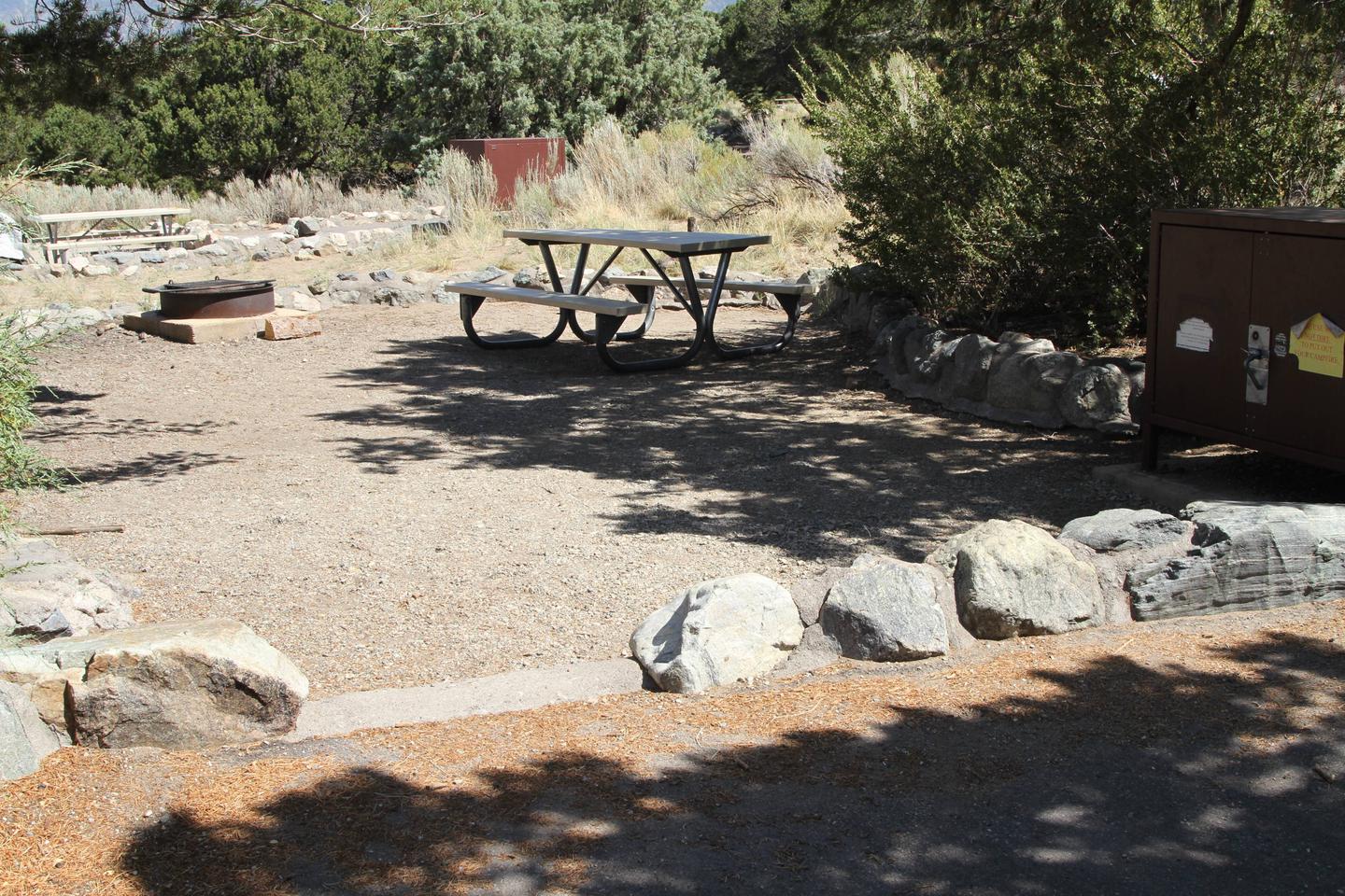 Closeup of Site #43 tent pad, fire ring, bear box, and picnic table. Large rocks are along the edge between the parking pad and tent site.Site #43, Pinon Flats Campground
