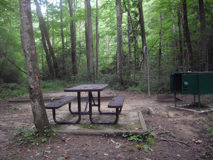 Brown metal picnic table sits next to tree with green storage locker, fire ring and lantern post nearby.Site 6 Rock Creek Campground