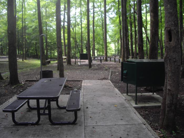 Brown metal picnic table sits on concrete pad next to green storage locker and tree.Site 7 Rock Creek Campground