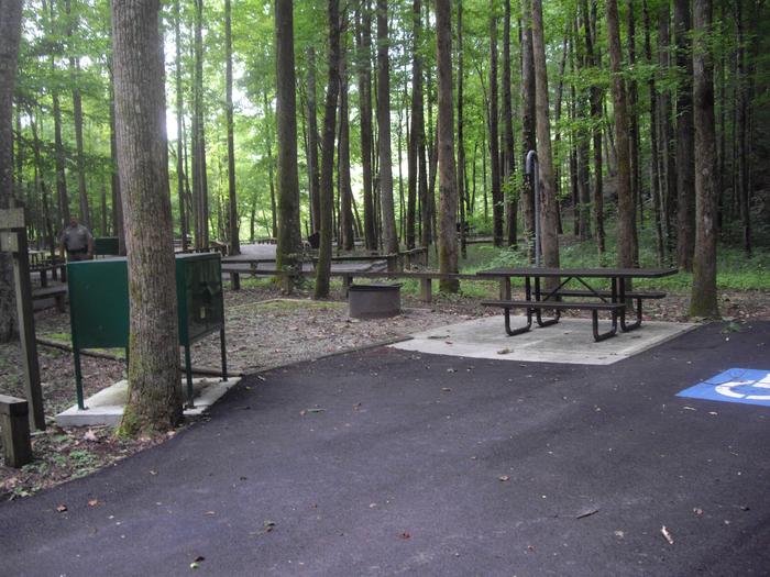 Brown metal picnic table sits on concrete pad next to paved parking spot and green storage locker.Site 8 Rock Creek Campground