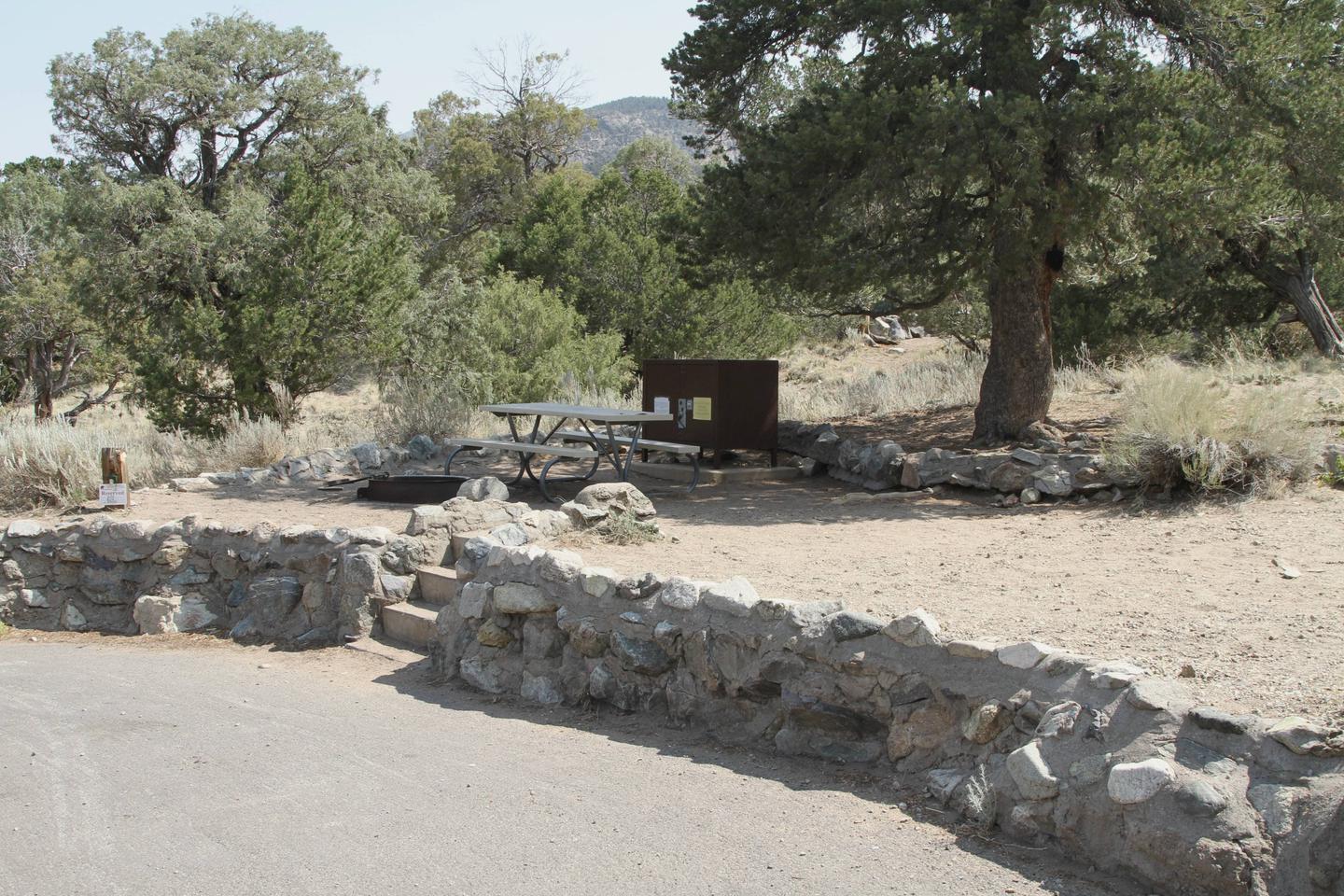 Side view of Site #3 from the road, showing tent pad, picnic table, fire ring, and shaded bear boxSite #3, Pinon Flats Campground