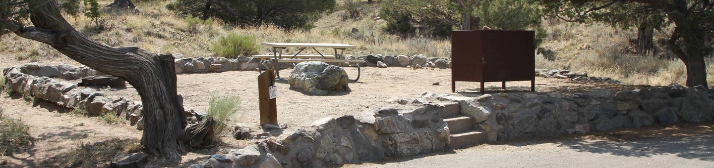 View of Site #5 tent pad with bear box, fire ring, and picnic tableSite #5, Pinon Flats Campground