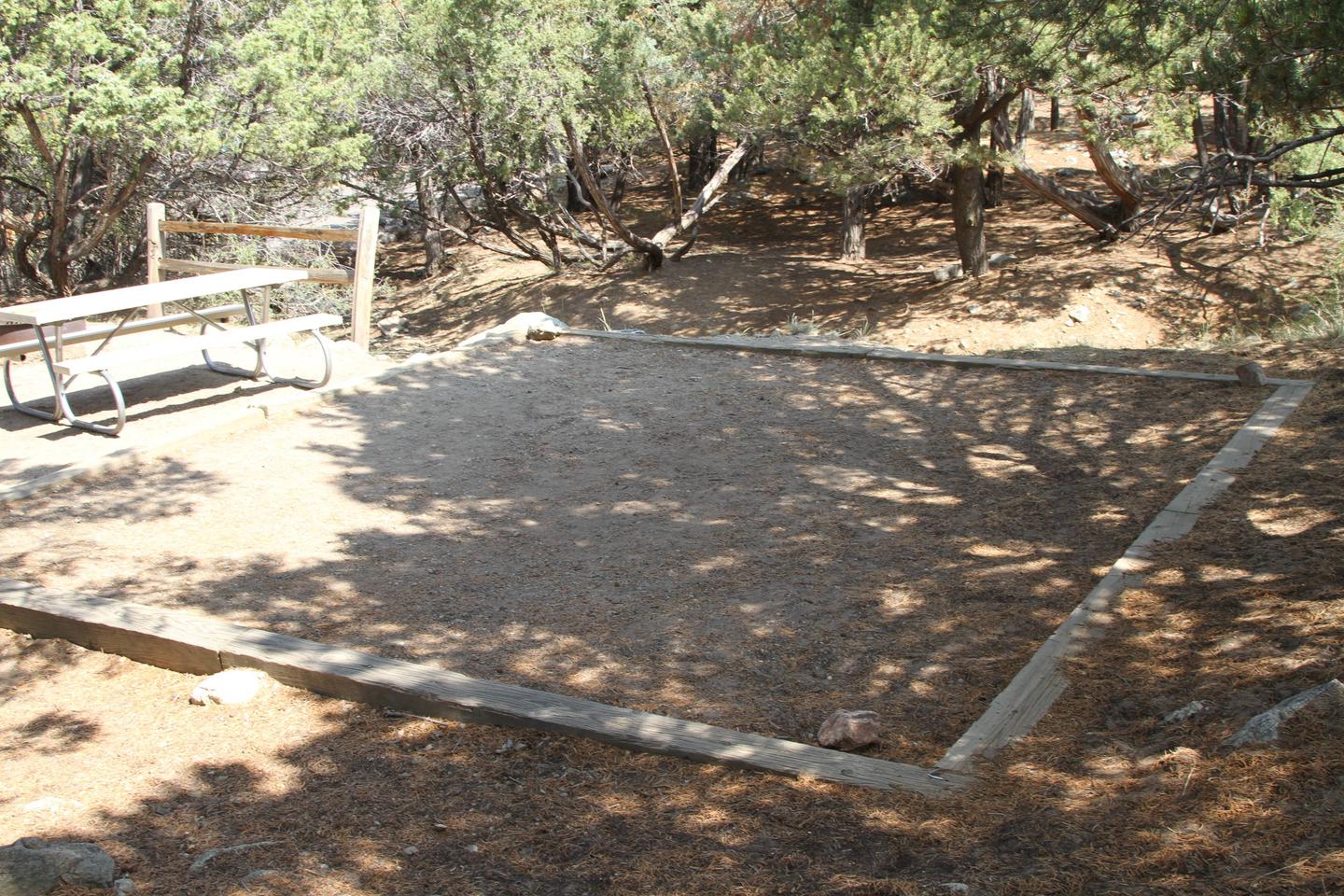 View of Site #13 designated tent pad and picnic table.Site #13, Pinon Flats Campground
