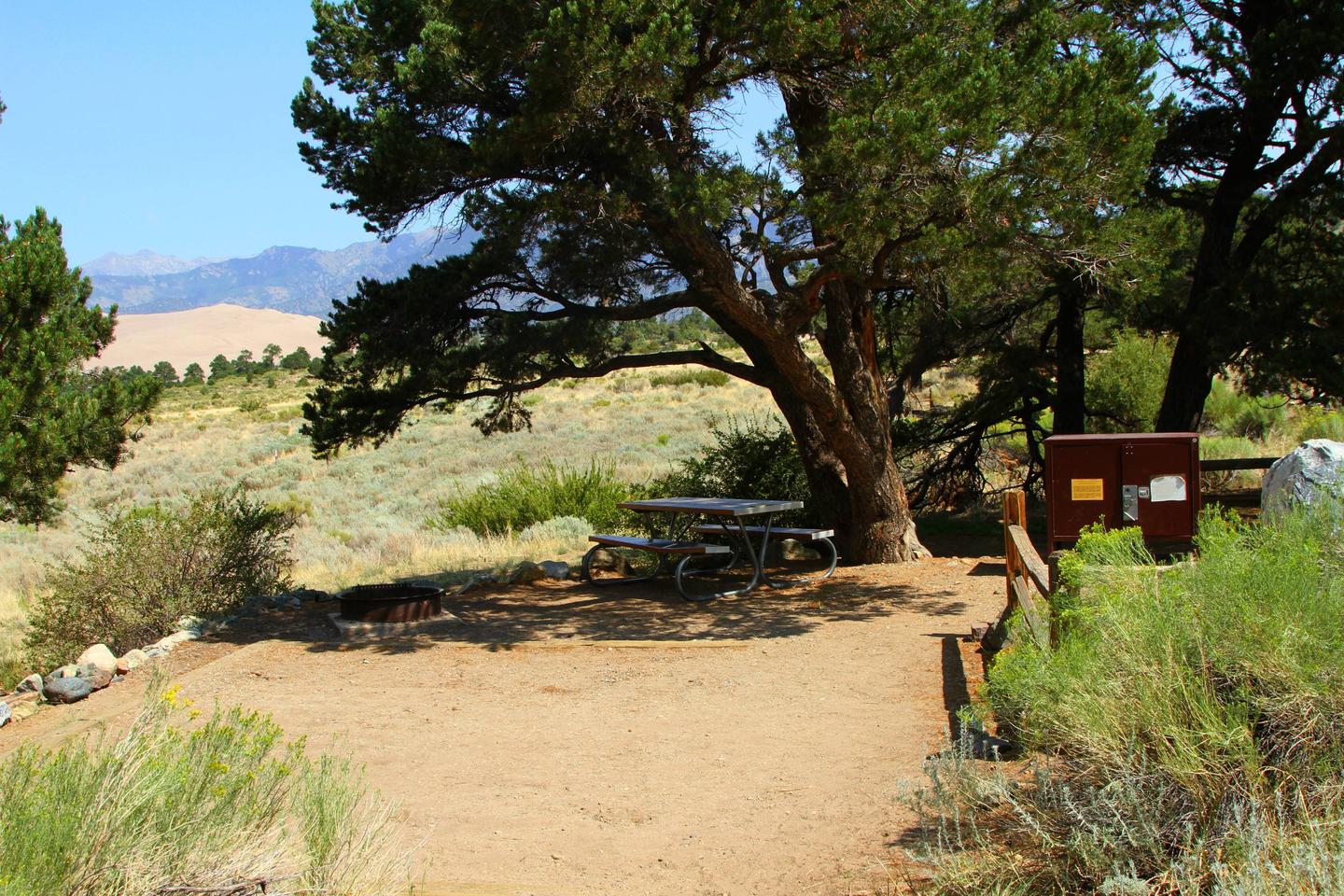View of Site #26 fenced and designated tent pad, fire ring, picnic table, and bear box. Pine trees provide mild shade.Site #26, Pinon Flats Campground